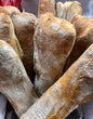 PRE-ORDER WHANGAMATA: Sourdough Ciabatta (V+)